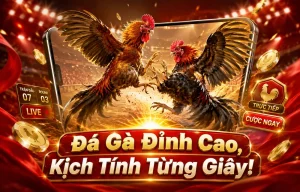 Giao diện sảnh Đá Gà alo789ab